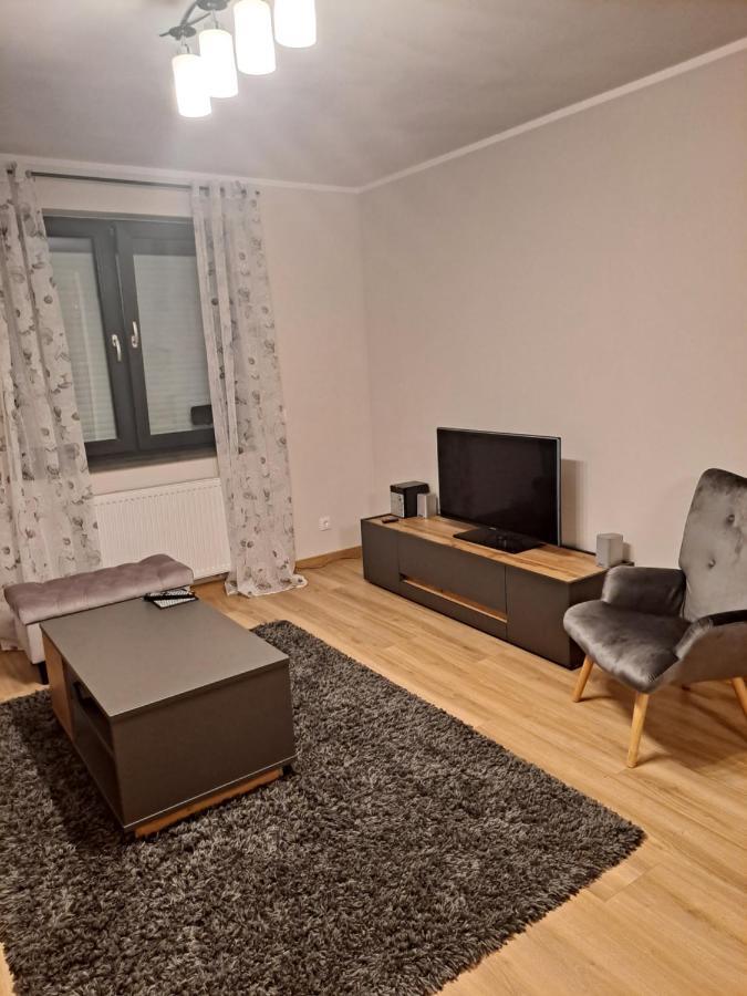 Apartament Sarna イェレニャ・グーラ エクステリア 写真